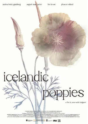 Постер: Icelandic Poppies