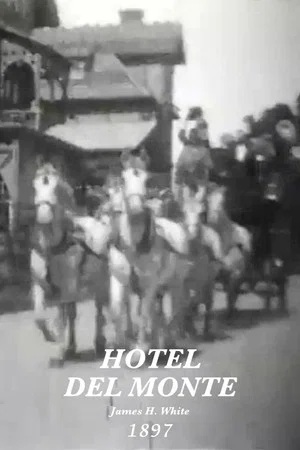 Постер: Hotel Del Monte