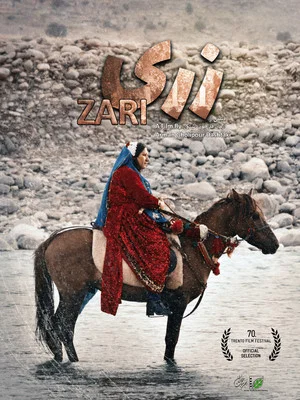 Постер: Zari