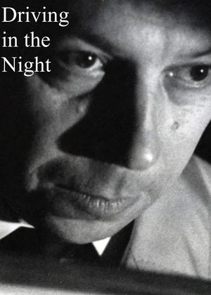 Постер: Driving in the Night