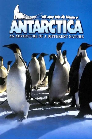 Постер: Antarctica: An Adventure of a Different Nature