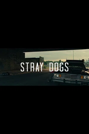 Постер: Stray Dogs