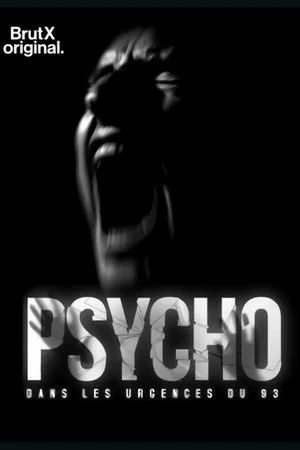 Постер: Psycho : dans les urgences du 93