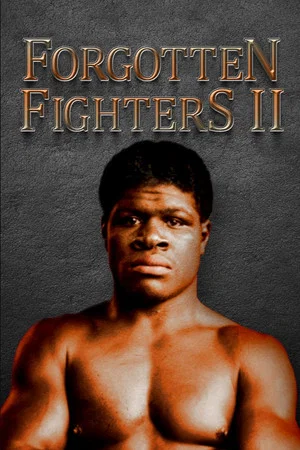 Постер: Forgotten Fighters II