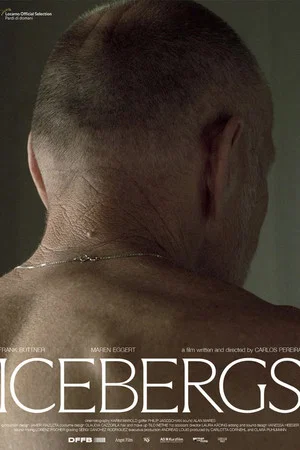 Постер: Icebergs