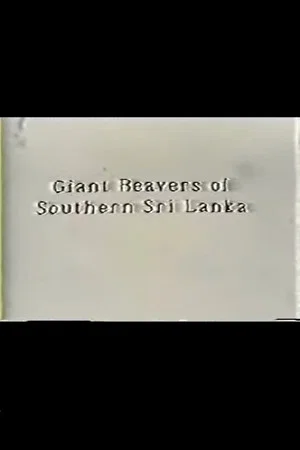 Постер: Giant Beavers of Southern Sri Lanka