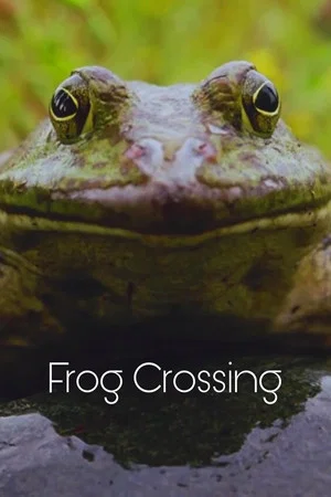 Постер: Frog Crossing