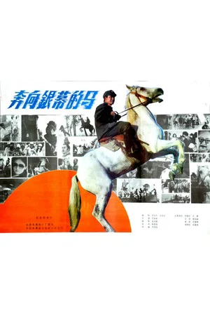 Постер: A Horse Galloping Toward Screen