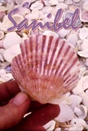 Постер: Sanibel