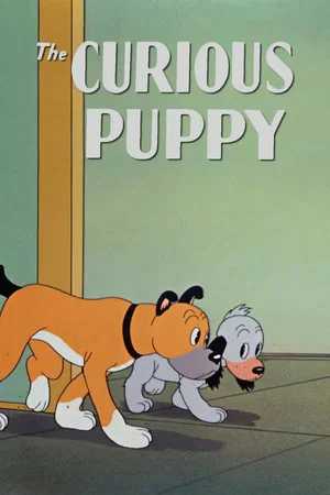Постер: The Curious Puppy