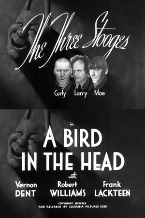 Постер: A Bird in the Head