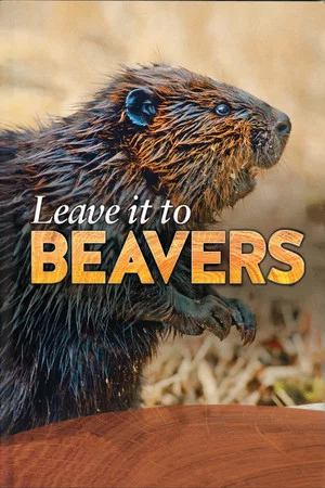 Постер: Leave it to Beavers