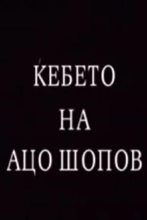 Постер: The Blanket of Aco Shopov