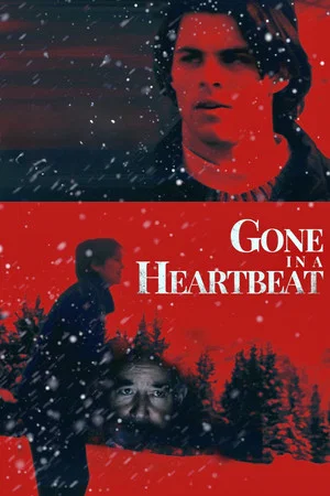 Постер: Gone in a Heartbeat