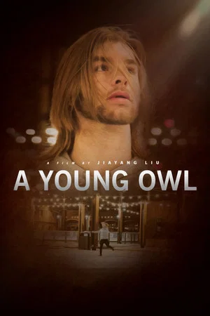 Постер: A Young Owl