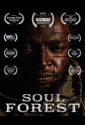 Постер: Soul Forest