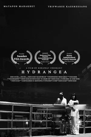 Постер: Hydrangea