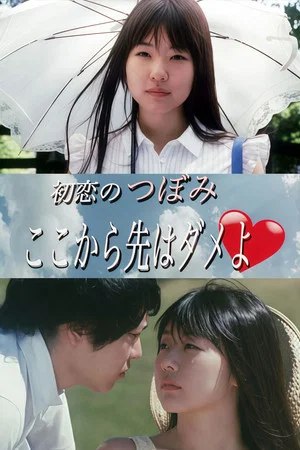 Постер: Hatsu koi no Tsubomi: Koko kara saki wa dame yo