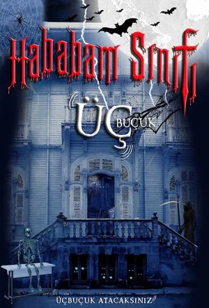 Постер: The Class of Chaos 3,5