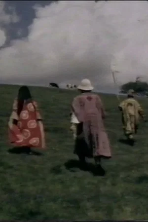 Постер: The Black Safari