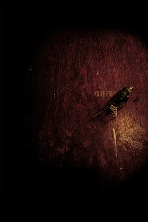 Постер: Knife Point