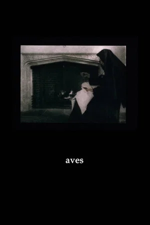 Постер: Aves