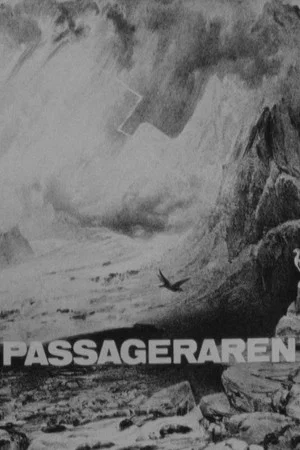 Постер: The Passenger