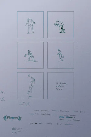 Постер: irlande cahier bleu