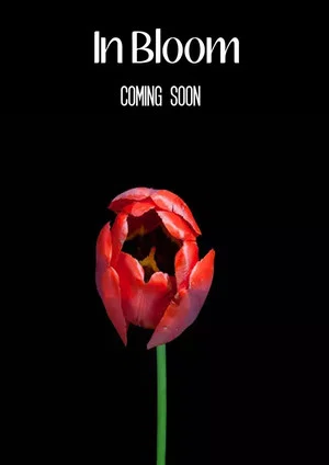 Постер: In Bloom