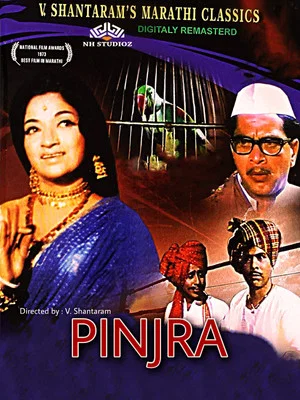 Постер: Pinjra