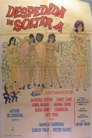 Постер: Despedida de soltera