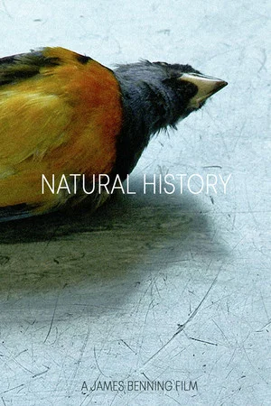 Постер: Natural History