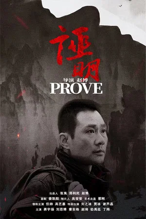 Постер: Prove