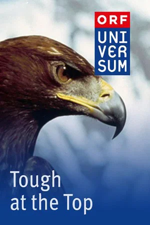 Постер: Tough at the Top
