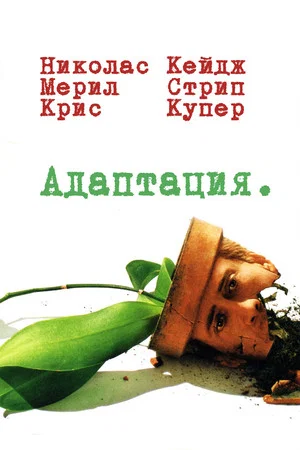 Постер: Адаптация