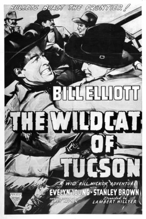Постер: The Wildcat of Tucson