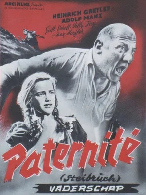 Постер: Steibruch