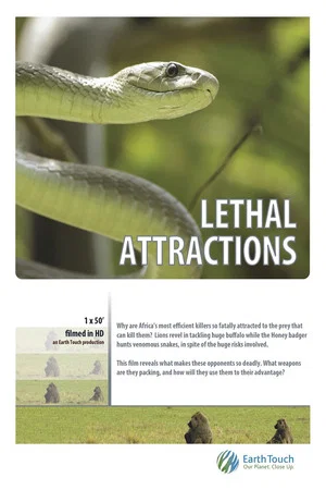 Постер: Lethal Attractions