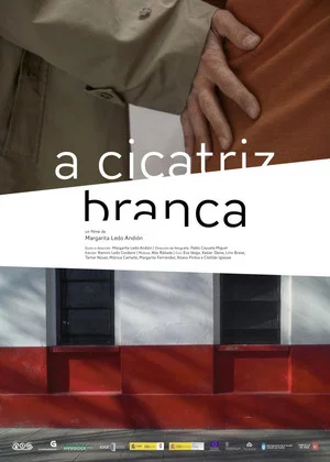 Постер: Apuntamentos para un filme