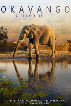 Постер: Okavango: A Flood of Life