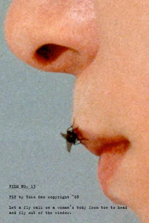 Постер: Fly
