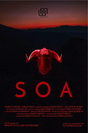 Постер: Soa