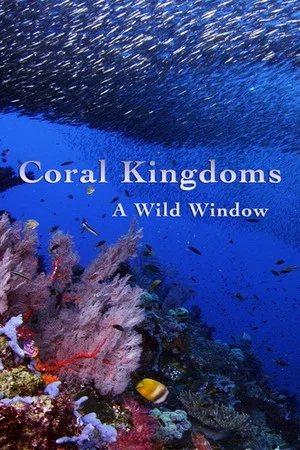 Постер: A Wild Window: Coral Kingdoms