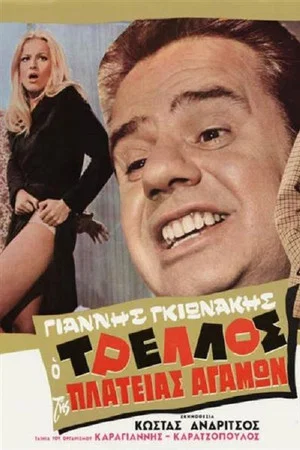 Постер: The madness of the square celibacy
