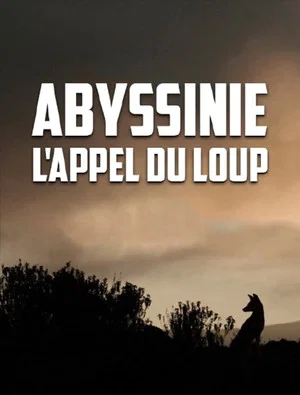 Постер: Abyssinia, the call of the wolf
