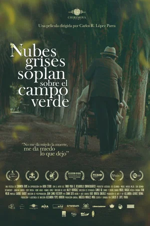 Постер: Nubes grises soplan sobre el campo verde