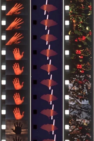 Постер: Twelve Seasonal Films