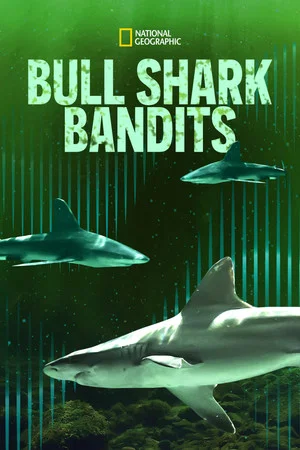 Постер: Bull Shark Bandits