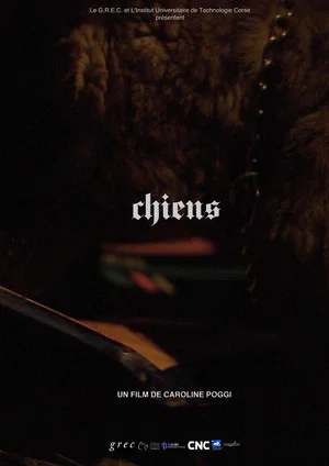 Постер: Chiens