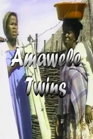 Постер: Twins